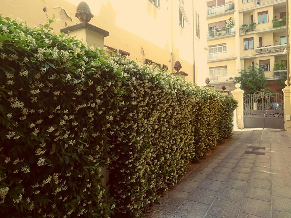 Hotel Della Robbia Florenz Exterior foto